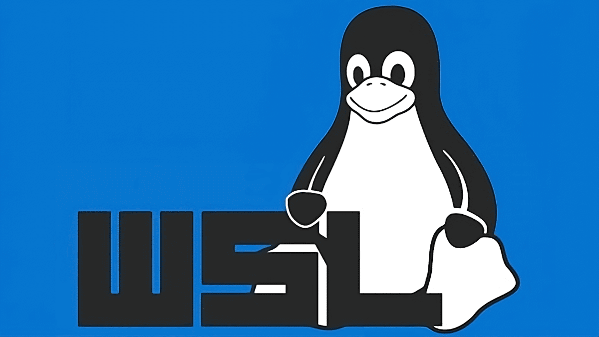 WSL（适用于 Linux 的 Windows 子系统）